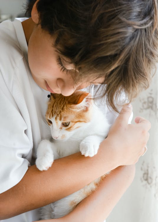 Benefícios de ter um PET