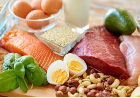 Alimentação Natural para Pets