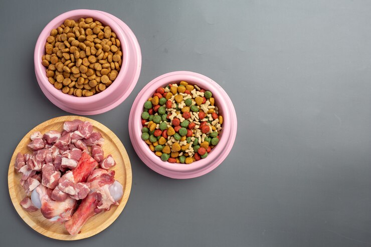 Alimentação Natural para Gatos