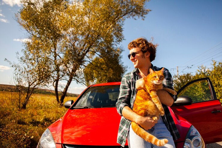 Como Transportar Seu Pet com Segurança no Carro: Guia Completo